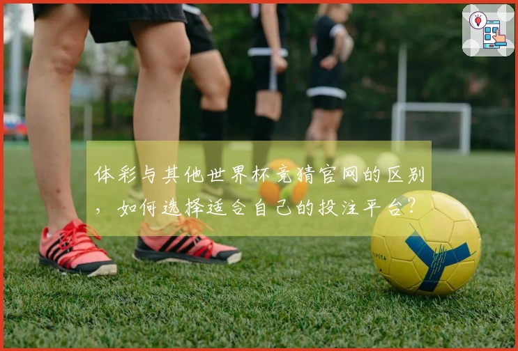 体彩与其他世界杯竞猜官网的区别，如何选择适合自己的投注平台？
