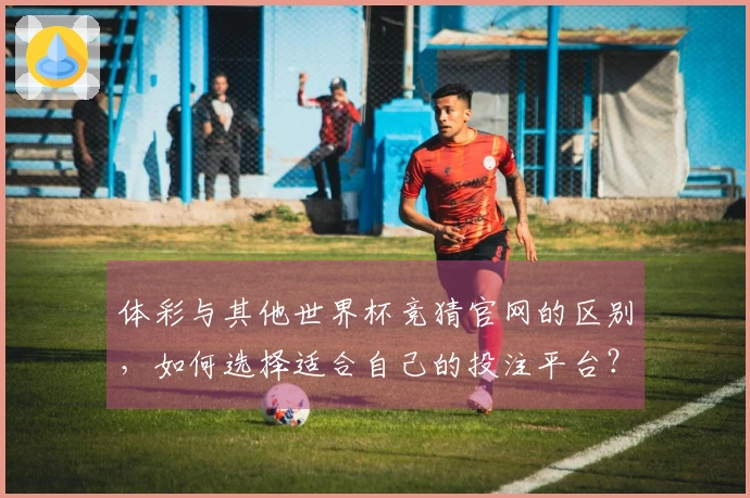 体彩与其他世界杯竞猜官网的区别，如何选择适合自己的投注平台？